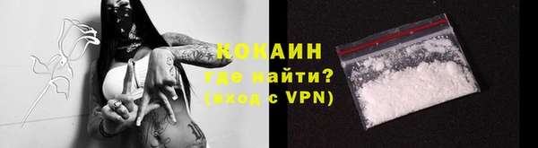 сатива Надым