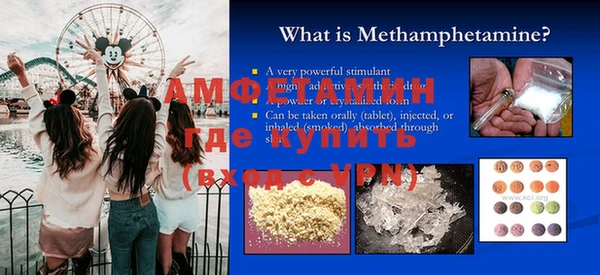 индика Нея