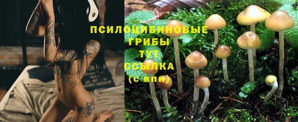 сатива Надым