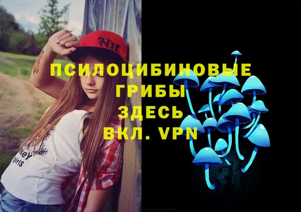 сатива Надым