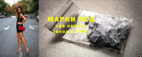 сатива Надым