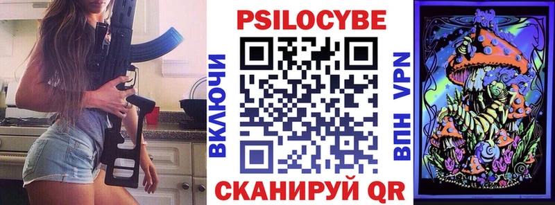 Галлюциногенные грибы Psilocybine cubensis  Киселёвск 